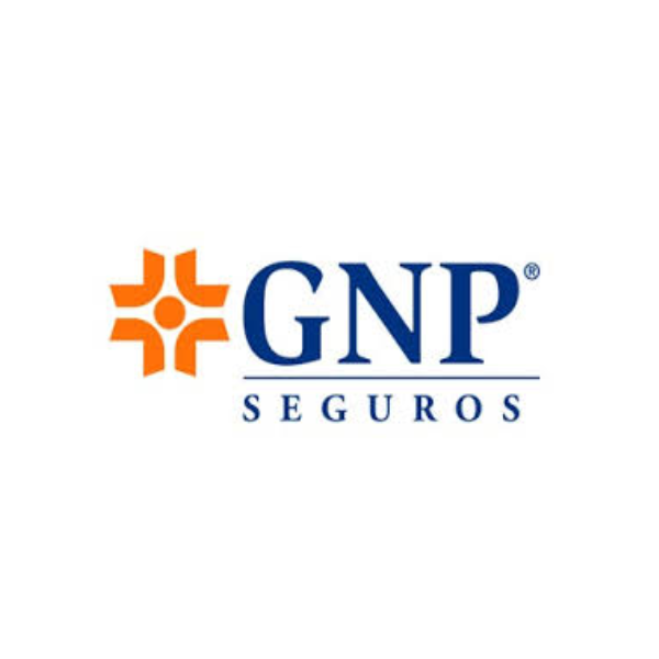Proyecto nuevo (24)
