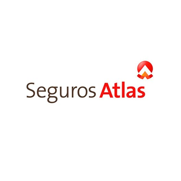 Proyecto nuevo (31)